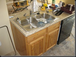 W5_Kitchen_Sink